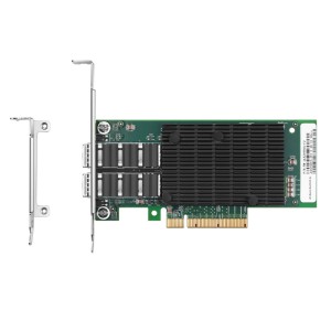 10 Gigabit Dual Port...
