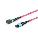 Multimode MPO-24 (Female) to MPO-24 (Female) Trunk Cable (24 Fiber, 50/125 OM4,Type B, LSZH, Magenta)