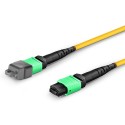 Single Mode MPO-24 (Female) to MPO-24 (Female) Trunk Cable (24 Fiber, 9/125 OS2, Type B, LSZH)