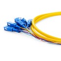 OS1 9/125 Singlemode 12-Fiber Distribution Fiber Optic Pigtail