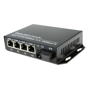 Single Fiber Gigabit...
